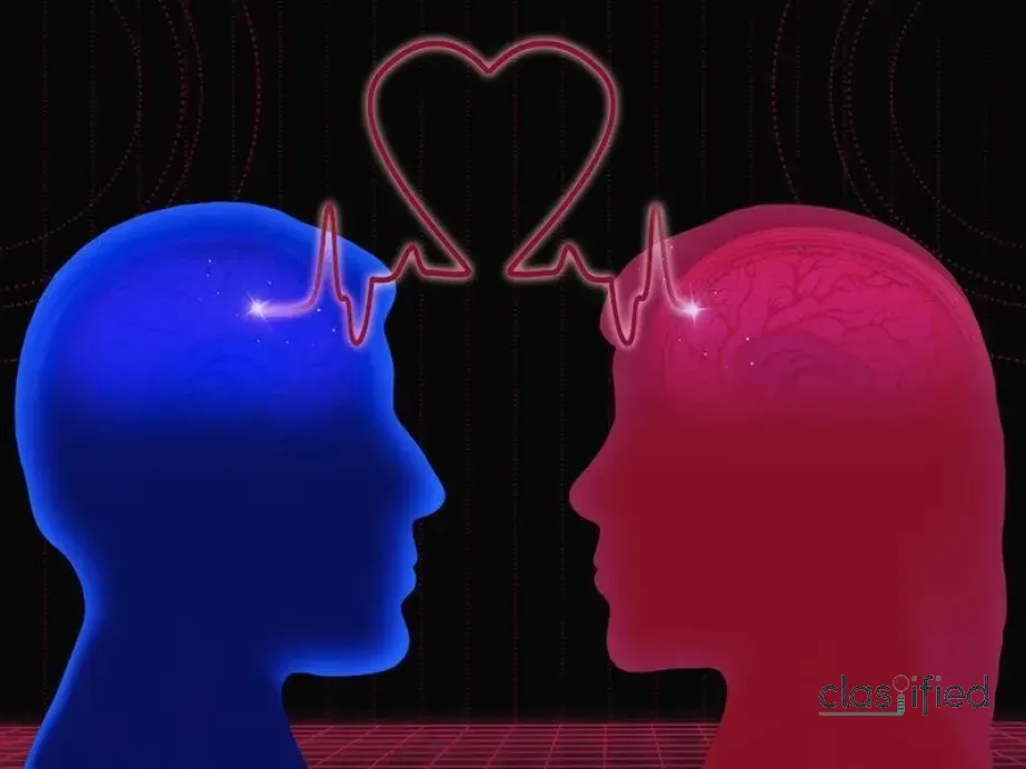 What happens in your brain when you're in love?