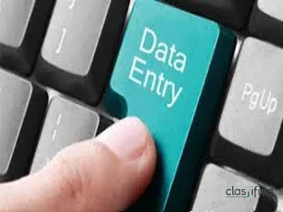  Work from Home:  Data Entry Opportunity