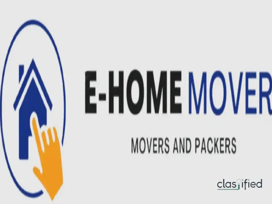 Professional movers in dubai​