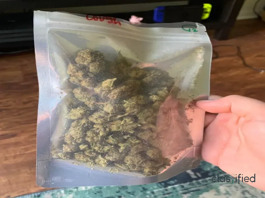 Buy Weed In Dubai telegram @greenplug420