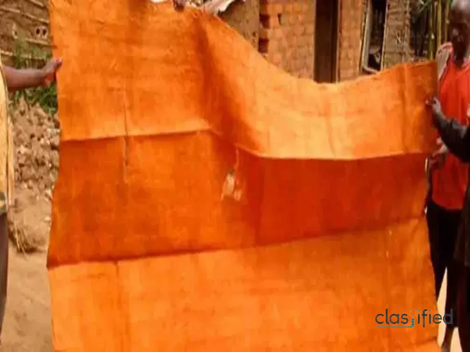 +27@79@0293@623 SANGOMA IN POLOKWANE TRADITIONAL HEALER LEBOWAKGOMO, MANKWENG, 