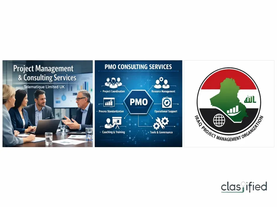 Telematique Limited – Experts in Project Consulting