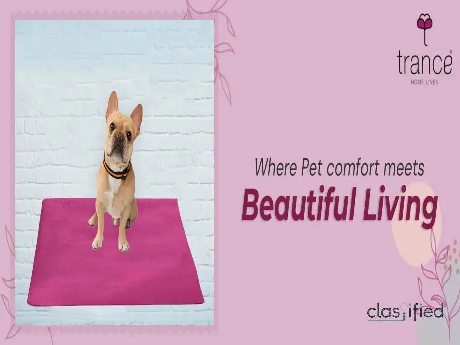 Where Pet comfort meets Beautiful Living