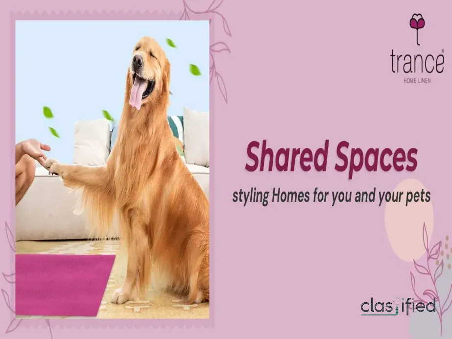 All you need to style homes for you and your pets