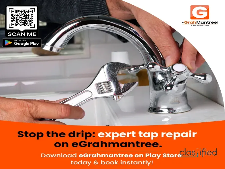 grah mantree, grah mantri, egrahmantreehome services jaipur