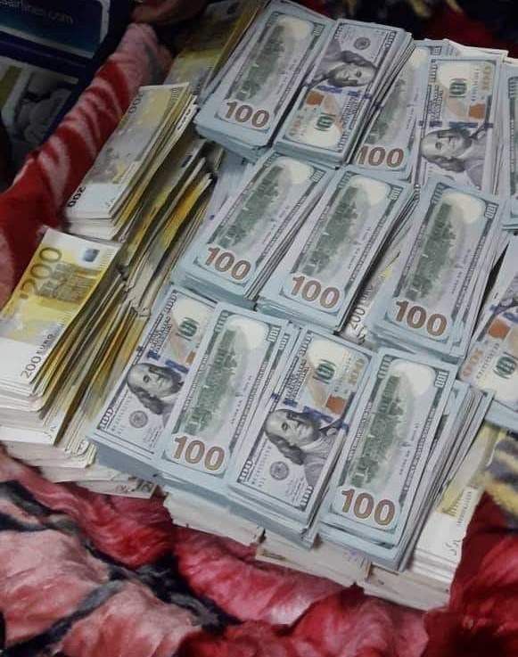 Royal Falcon society